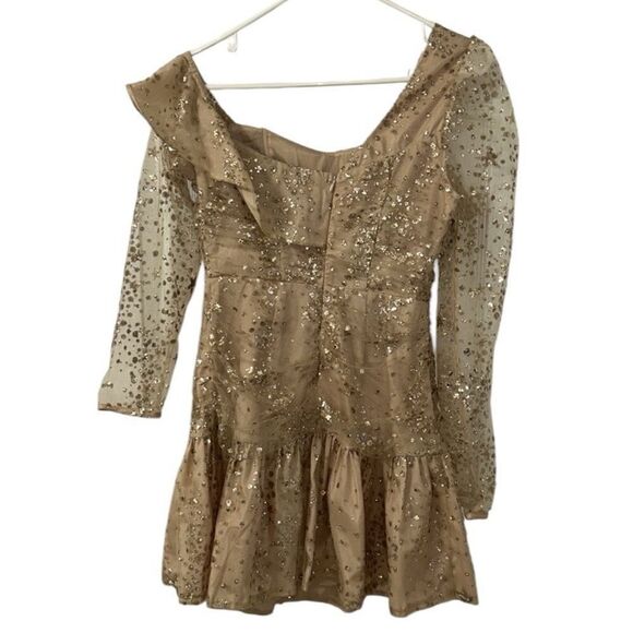 Endless Rose Sequins Mini Gold Nude Mini
Dress(Size XS) - Picture 4 of 9